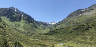 Only 16% of the Swiss Would Get Vaccinated against Corona Immediately