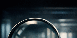 Who or What Is Blocking the Corona Committee?